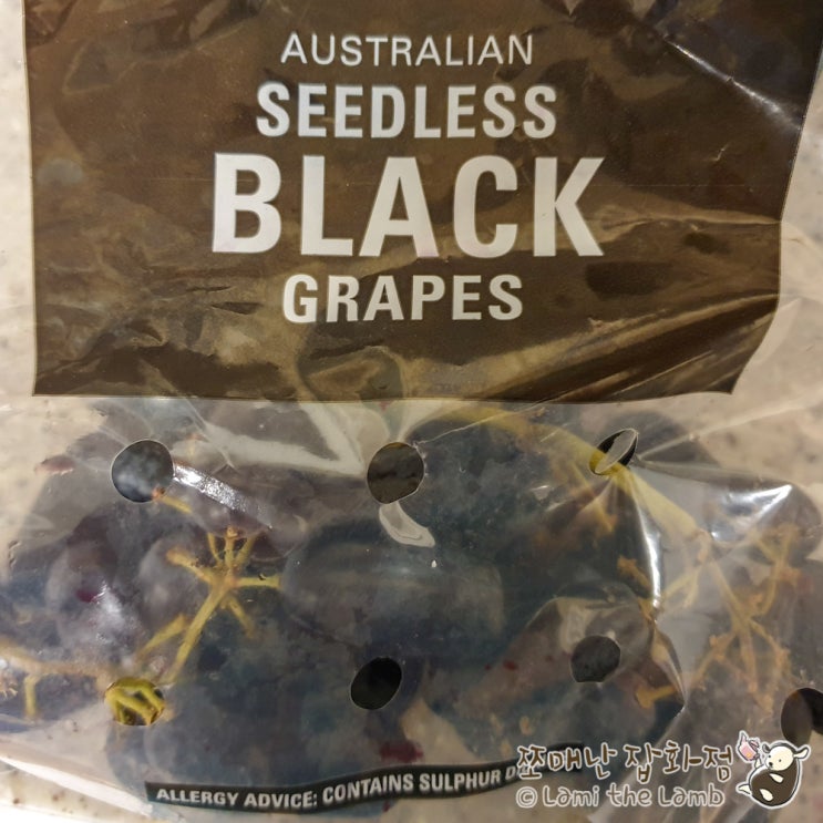 가지포도 (블랙 사파이어 포도, sweet sapphire grapes)