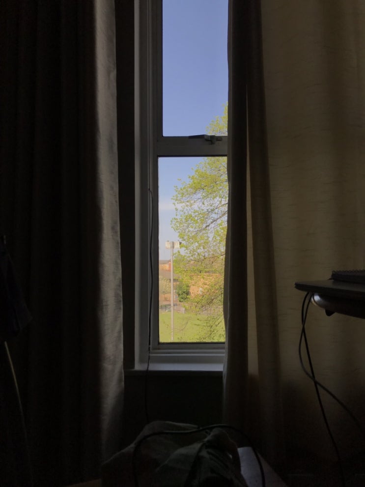 런던살기 +3 : 장보기 영화 노팅힐 보기 공원가기