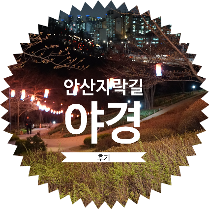 서울 서대문 안산자락길 야경! 안산둘레길을 걸어보자 : 안산 벚꽃 피기전에 방문함
