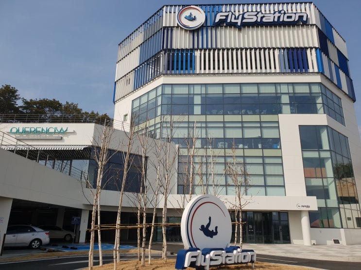  스카이다이빙처럼 하늘을 날 수 있는 , 플라이스테이션