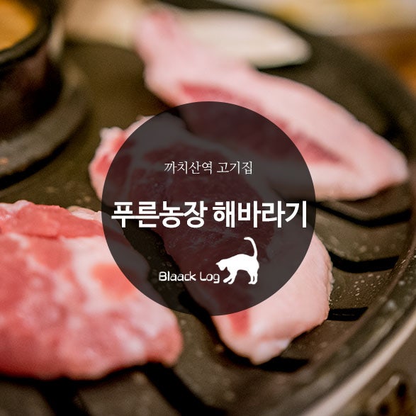 푸른농장해바라기 화곡점 사진 1