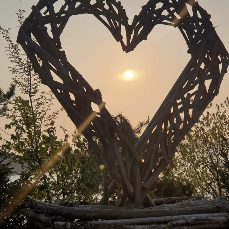  [전남/완도]완도타워의 일출/ 타워 둘레길 산책 /동망산 생태공원산책