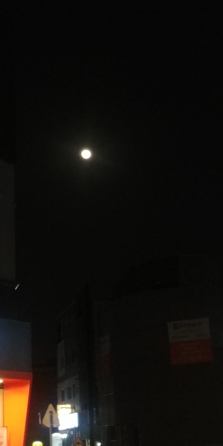  4.19 만월 에스밧