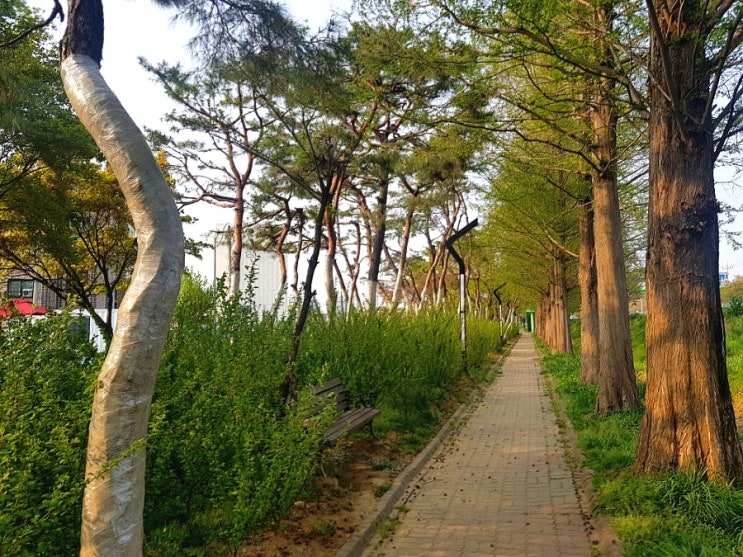  내가 좋아하는 산책길