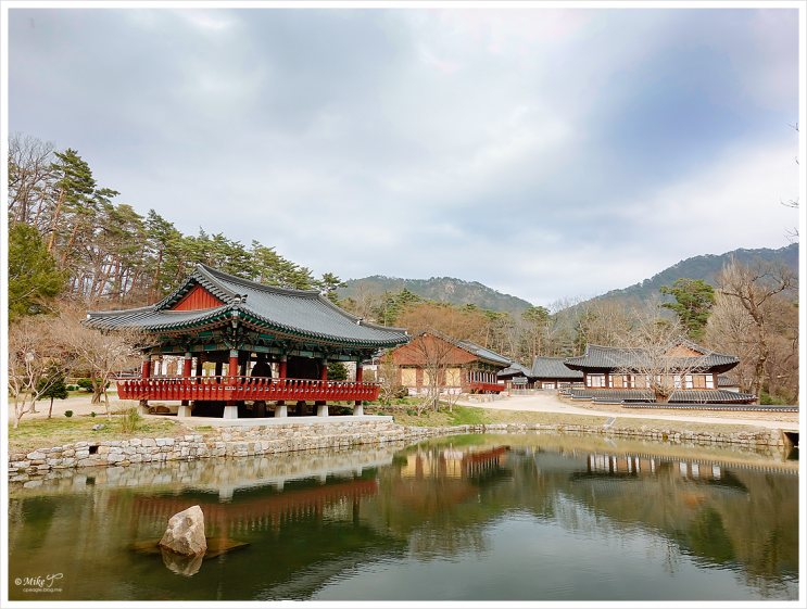  [경북 울진] 불영사, 후포항, 등기산공원