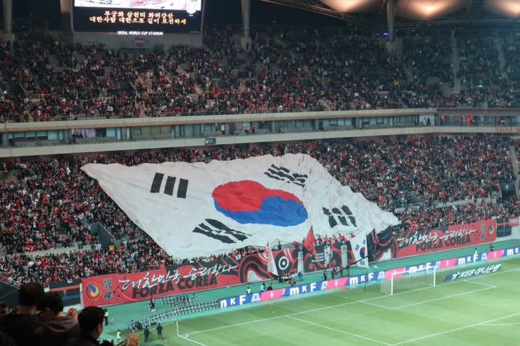  대한민국 축구A매치 직관(대한민국 vs. 콜롬비아/ 상암월드컵경기장/ 손흥민)