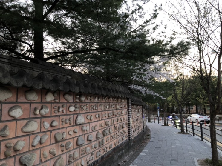  [마음의대화] 발걸음