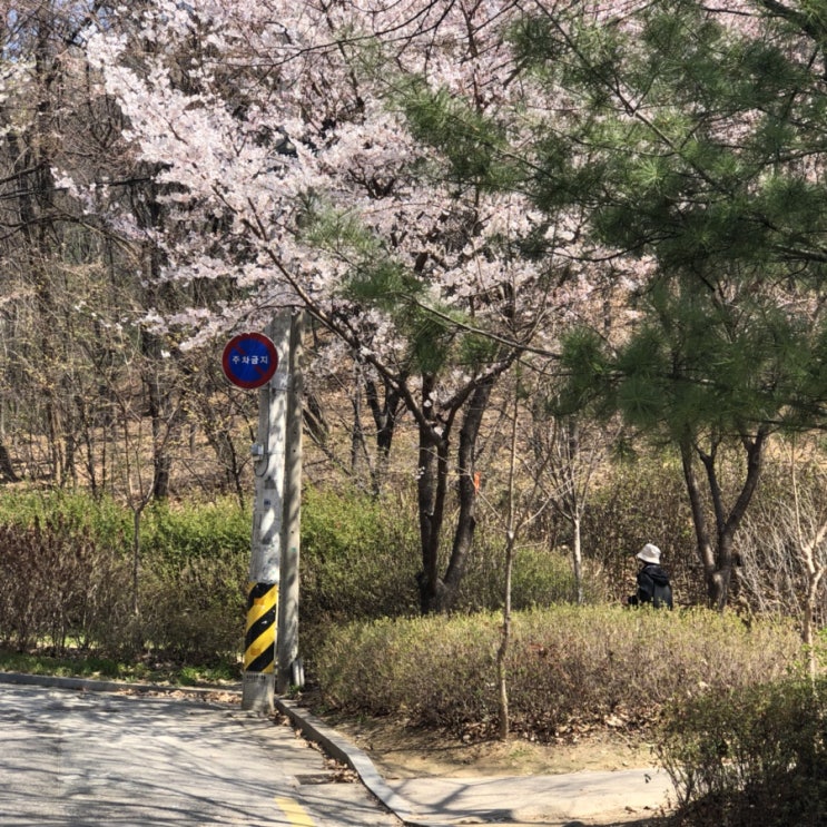  똑같은 날들의 반복들과 특별한 날들이 포함된 4월 첫째주-셋째주 (사진 많음)