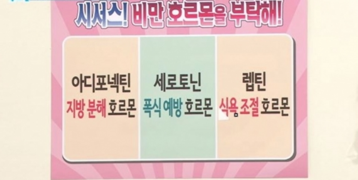  시서스 가루, 지방분해∙식욕억제에 탁월.."운동은 필수"