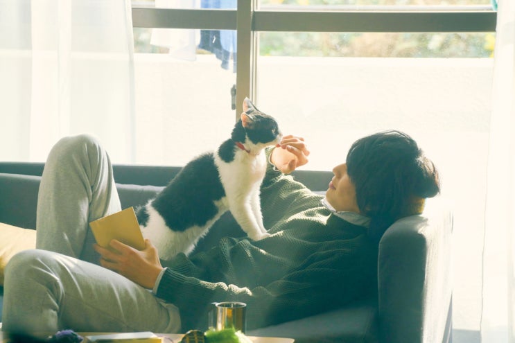  [무비패스] 가족이란 무엇인가, <고양이 여행 리포트>