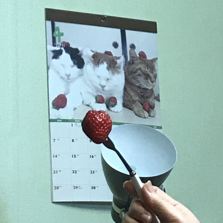  메리 오리스마스