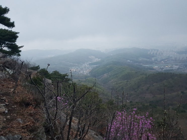  광교산 일출 200번째