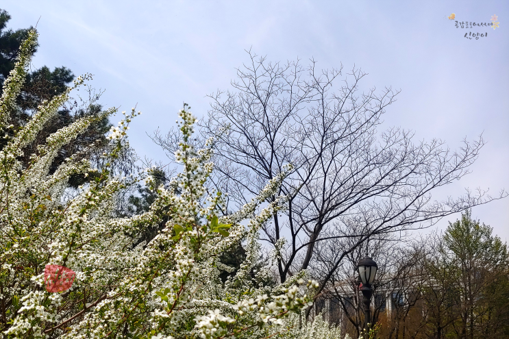 이색데이트 봄에 가볼만한곳 일산 고양꽃박람회 오셔야해요.
