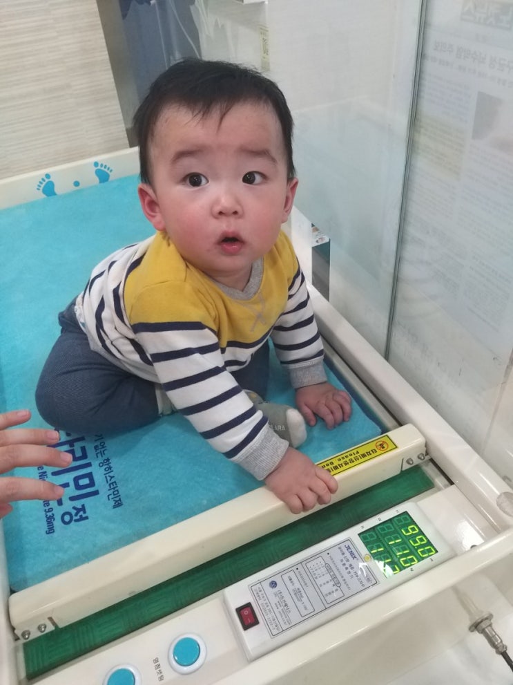  [생후302일]10개월 아기 몸무게 / 아기 병원에서 체중재기 / 닭 파프리카 버섯 단호박 이유식만들기