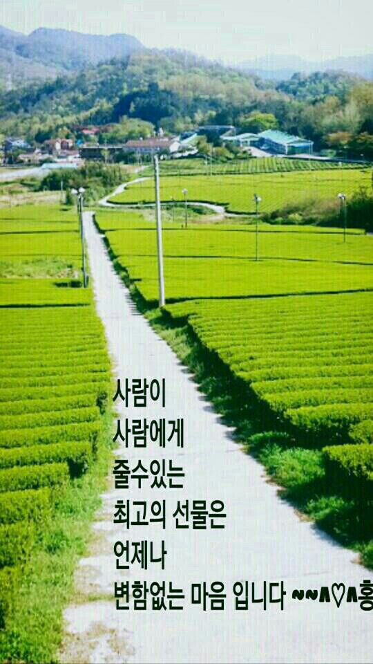  아침마다 반성하며 인생길 갑니다