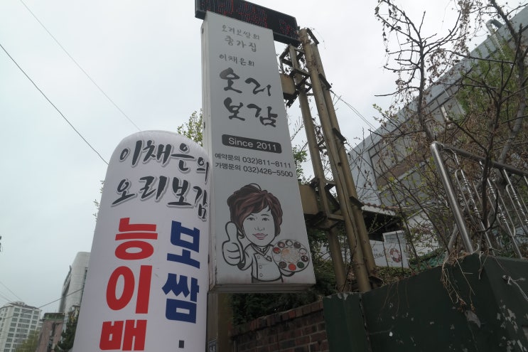  구월동회식장소 이채은의 오리보감 황칠백숙 먹고 기운업!