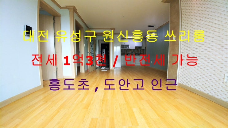  대전 유성구 원신흥동 쓰리룸 전세 , 반전세 (흥도초등학교 , 도안고등학교 인근)