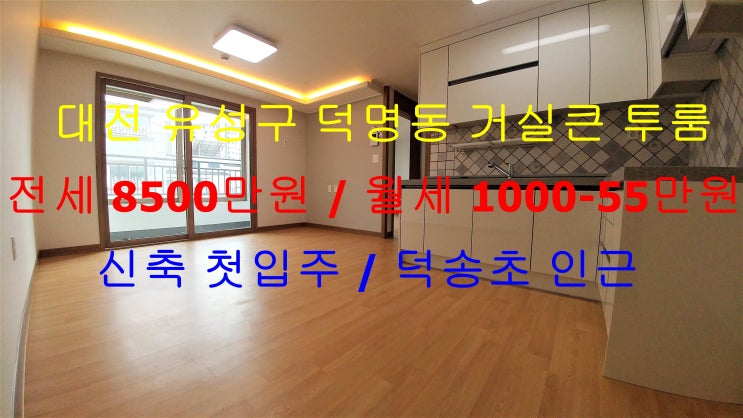 대전 유성구 덕명동 신축 첫입주 투룸 전세 , 월세 (덕송초등학교 인근)