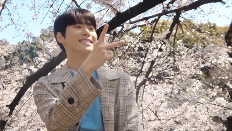  NCT 도영, 재현, 마크와 함께하는 벚꽃놀이 [N’-88] 빨리빨리 피해롸잇 체리블라썸 | Cherry Blossoms Picnic cap 캡쳐 모음