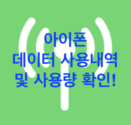 [iOS] 아이폰 데이터(셀룰러) 사용 내역 및 사용량 확인!!