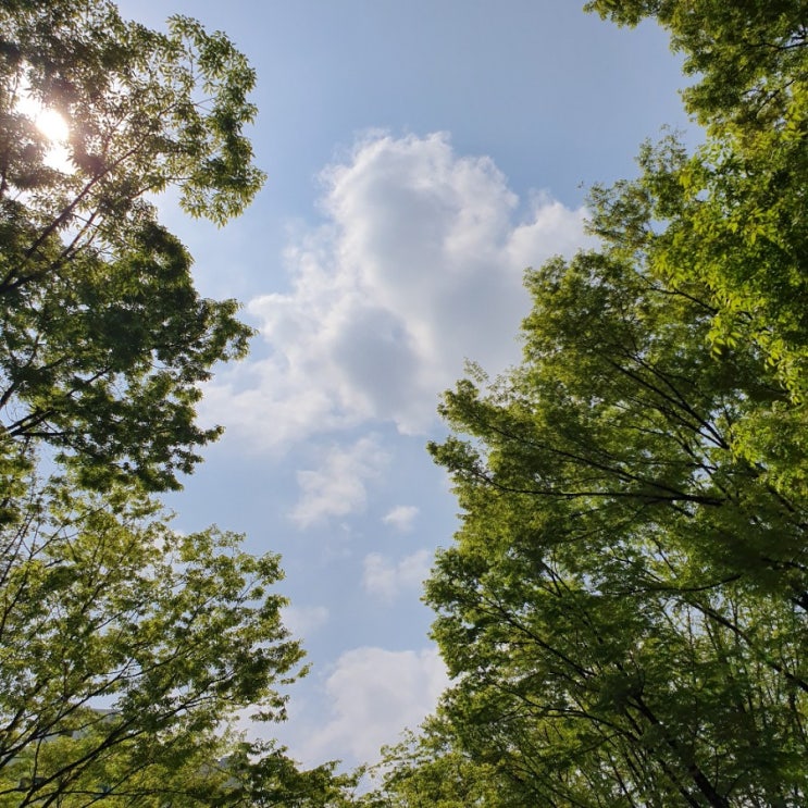  [지수생활] 2019.04.15 - 2019.04.21