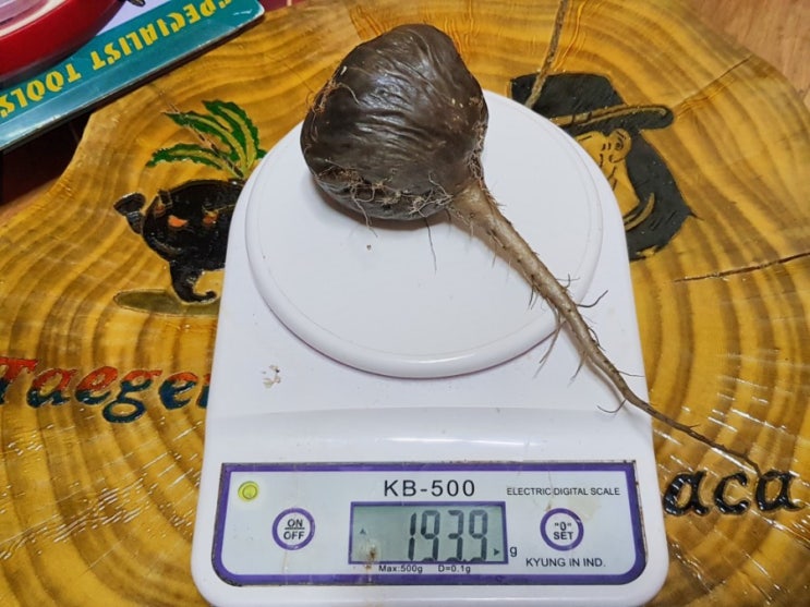 밑들었네 밑들었네