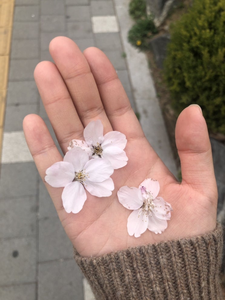  4월 둘째주에서 셋째주
