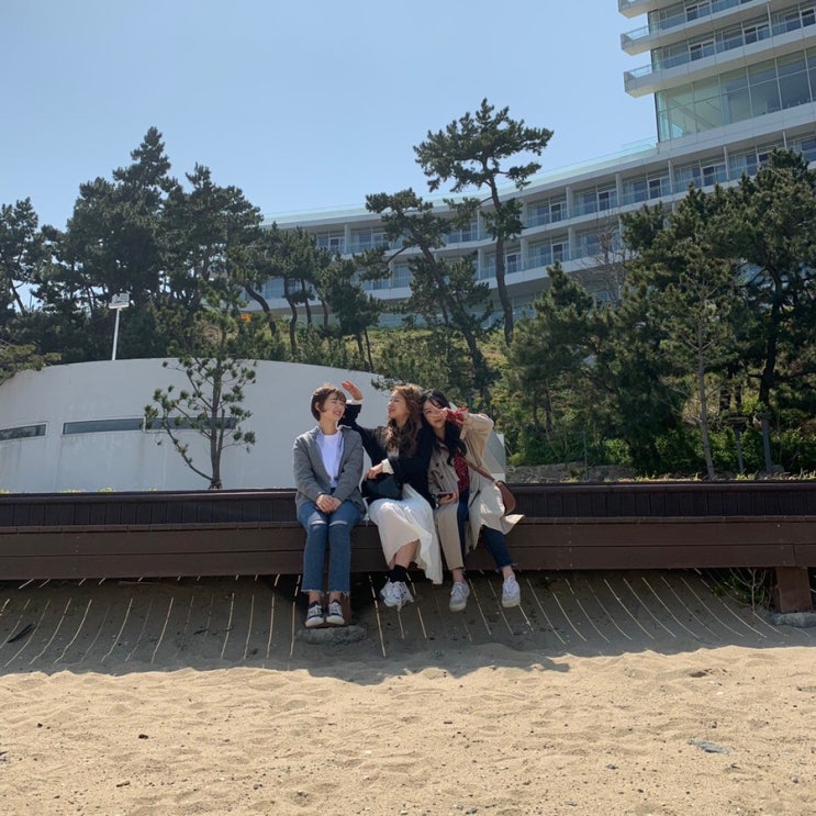  2019.04. 강릉여행