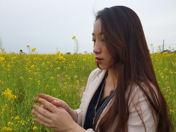  임신34주 :-) 반월마을 유채꽃 구경, 한샘샘키즈,크림하우스 아기매트 구입