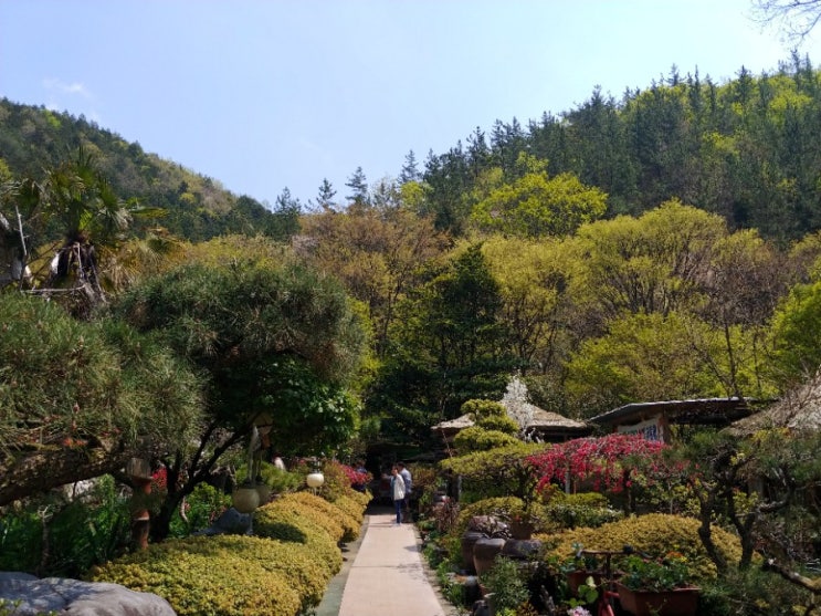  순천 산수정, 글을 올리는 순간에도 군침이 ㅡ