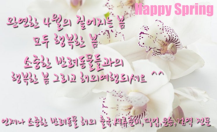  강아지검역 고양이검역 강아지출국서류애완동물해외출국서류검역운송[풀서비스]픽업,비행기탑승반려견출국입국