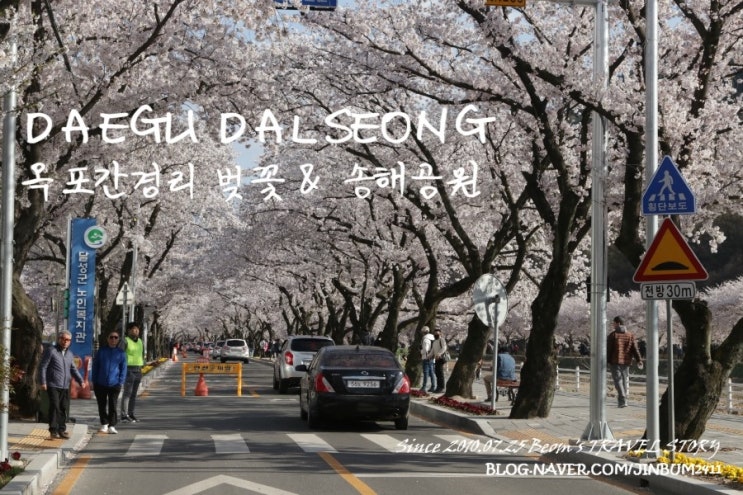  [대구여행] 2019.03.31 대구광역시 달성군 옥포읍 간경리 - 옥포간경리 벚꽃축제 & 송해공원