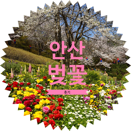  서대문 연희숲속쉼터 안산 벚꽃 축제 : 서울 숨은 벚꽃길로 유명한 안산자락길( 안산 둘레길 ) 꽃구경 다녀온 후기 feat. 연희동 홍제동 주차 정보