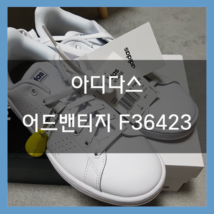 아디다스 어드밴티지 F36423 운동화 저렴하게 구매 아디다스 어드밴티지 F36423 운동화 저렴하게 구매