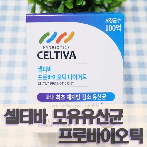  셀티바 락토바실러스 가세리 bnr17 프로바이오틱 다이어트