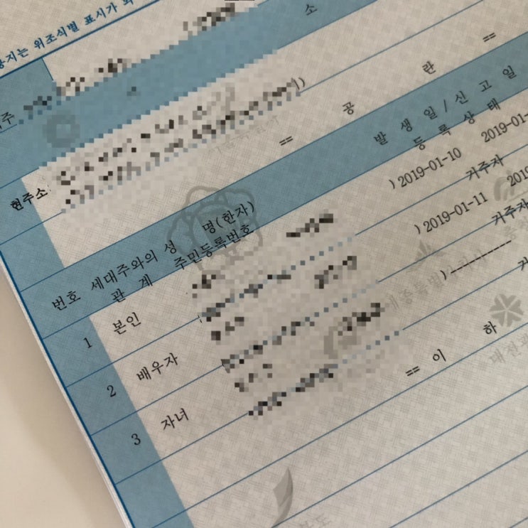  [D+19] 출생신고