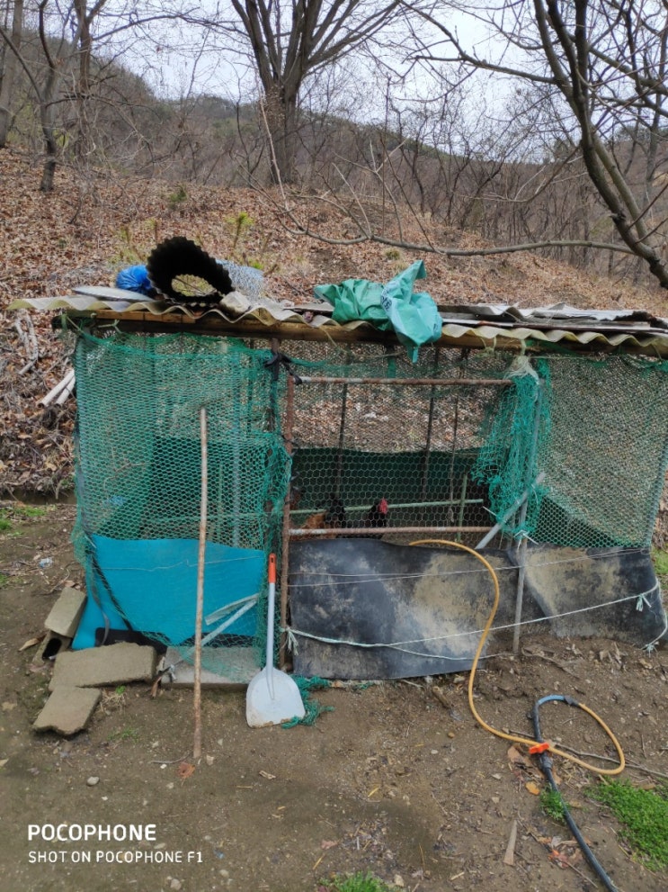  최소비용으로 시골 닭장만들기 1부