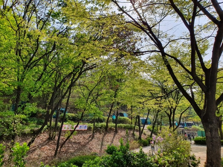  강동그린웨이 가족캠핑장에서 올해 첫 캠핑~
