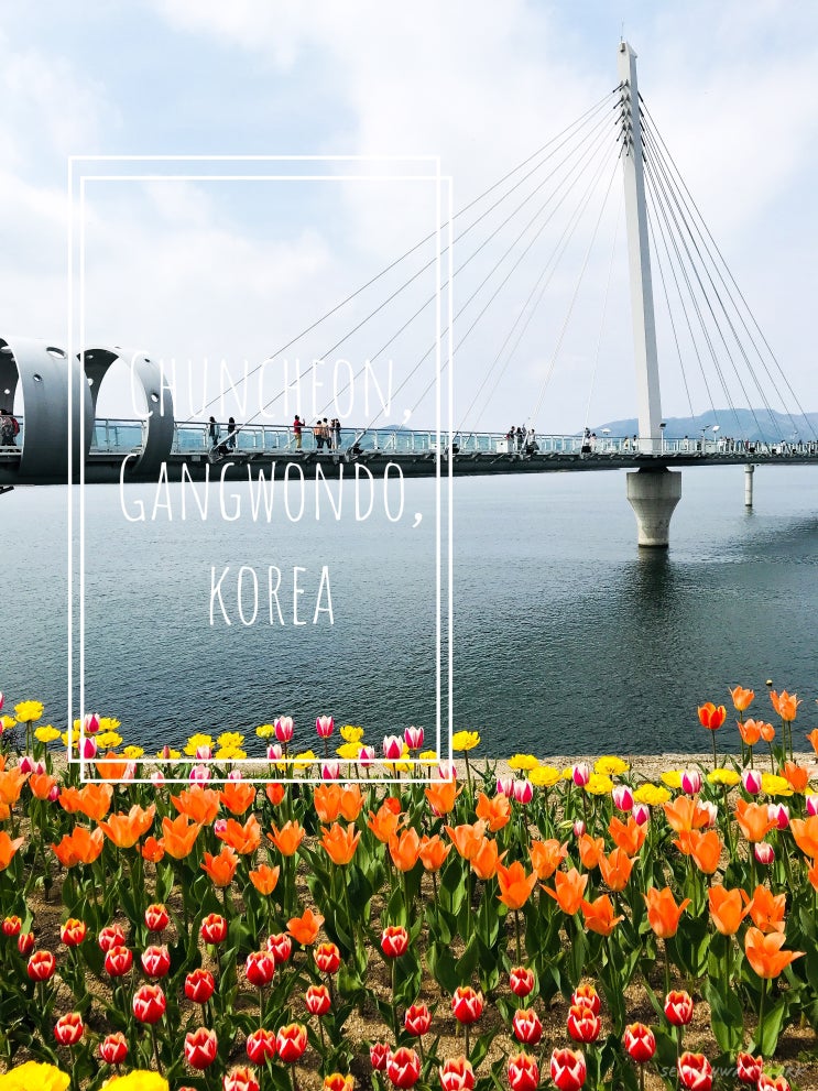  2019 Apr 춘천당일치기여행(소양강변길, 스카이워크, 소양정, 번개시장, 명동닭갈비골목)