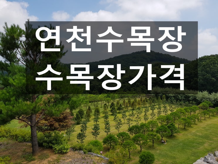  연천수목장 가격과 환경은 어떤가요?