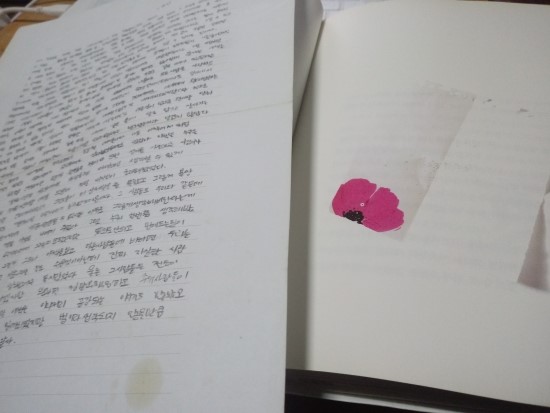  소설 <붉은 노을>의 어느 페이지 - 이외수 작가의 <청춘불패>