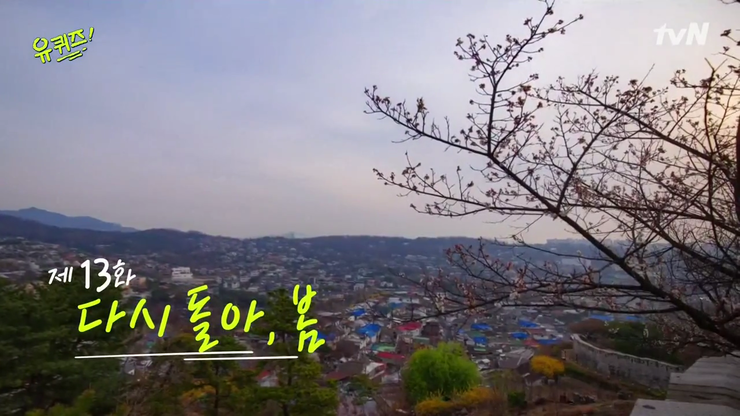  다시 돌아온 유퀴즈 온 더 블럭 13화