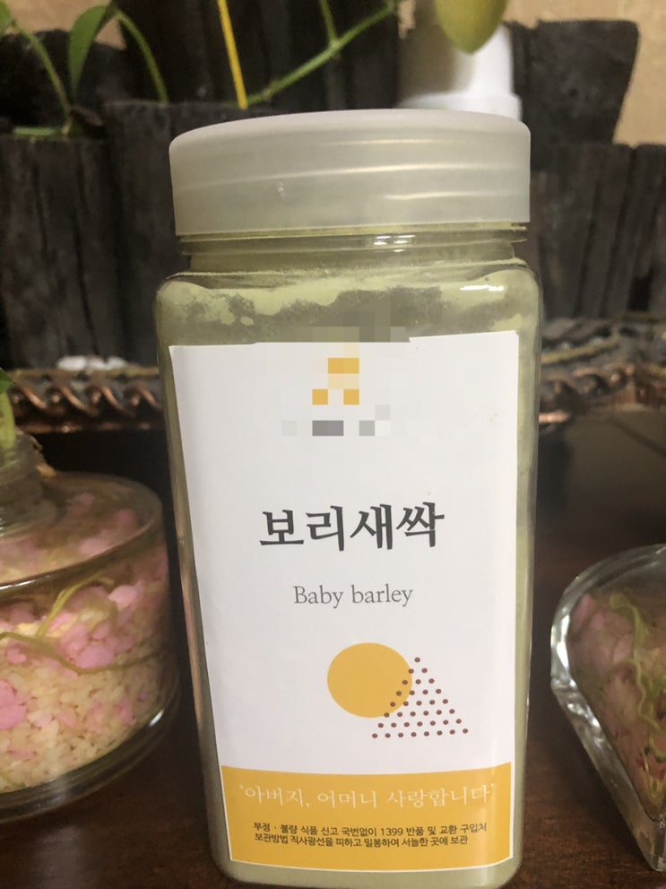  살빼면서다이어트 에 좋은 더봄날 보리새싹