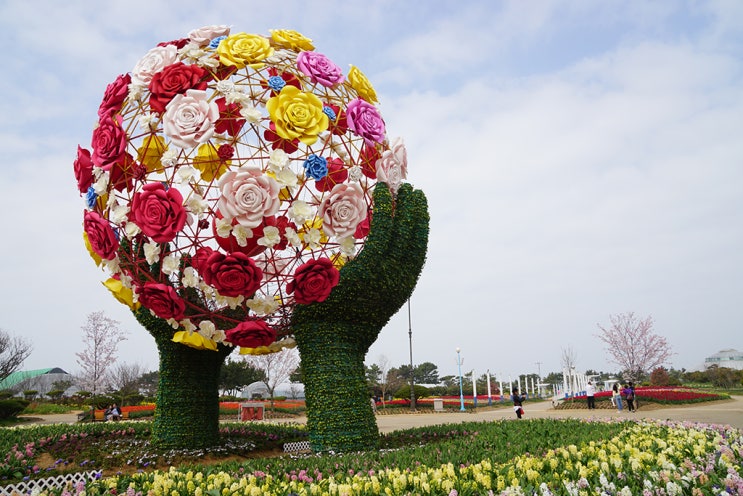  [축제] 태안 세계튤립축제 2019 다녀오다