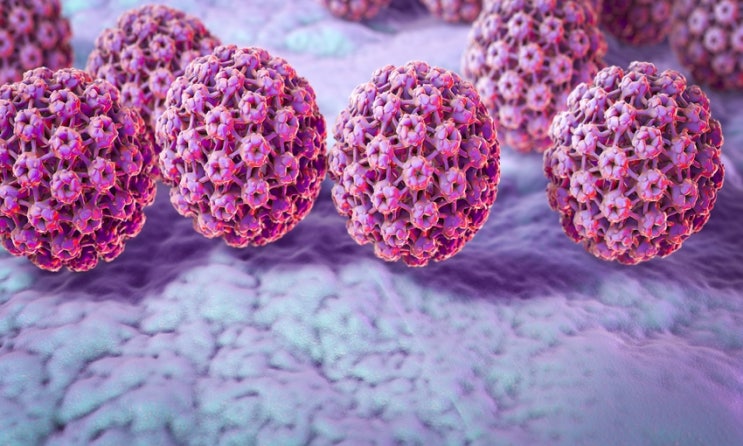 [동탄 비뇨기과] 음경암의 원인이 되는 HPV의 치료