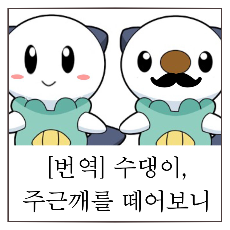  포켓몬스터 수댕이, 수련의 얼굴 주근깨를 없애면