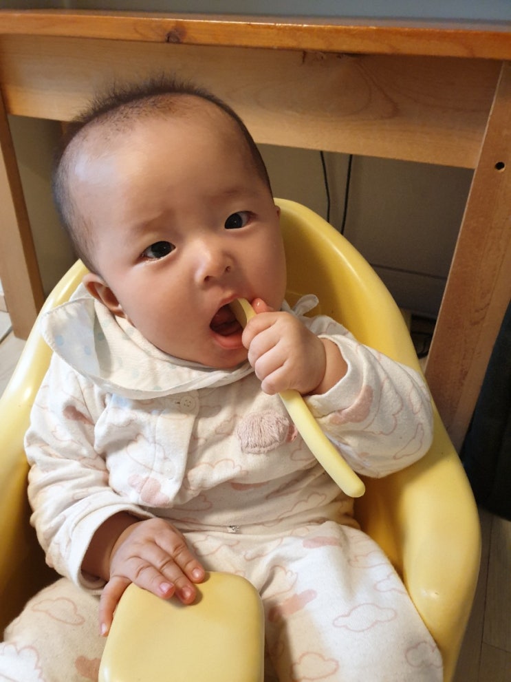  이유식용기 추천! 데일리라이크 봉봉 스푼& 트라이탄 용기 & 글라스락 유리용기 준비완료! 셋째 만5개월 이유식 시작해요^^