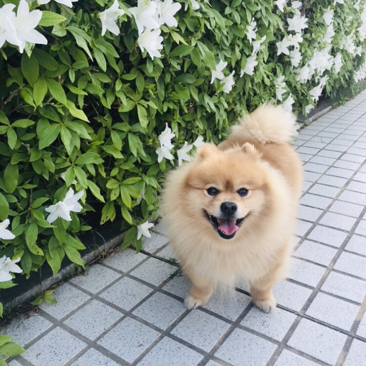  일상27
