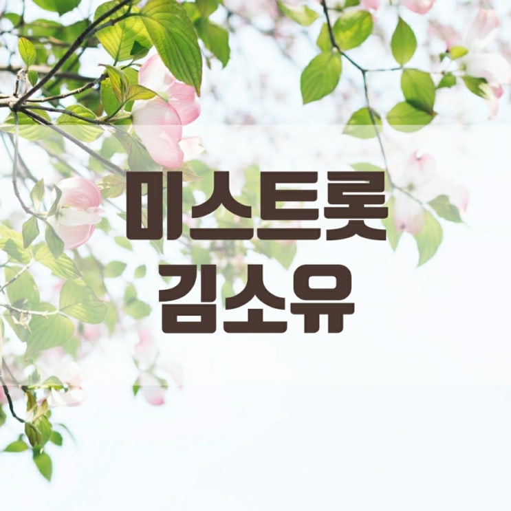  미스트롯 김소유 인스타 바로가기