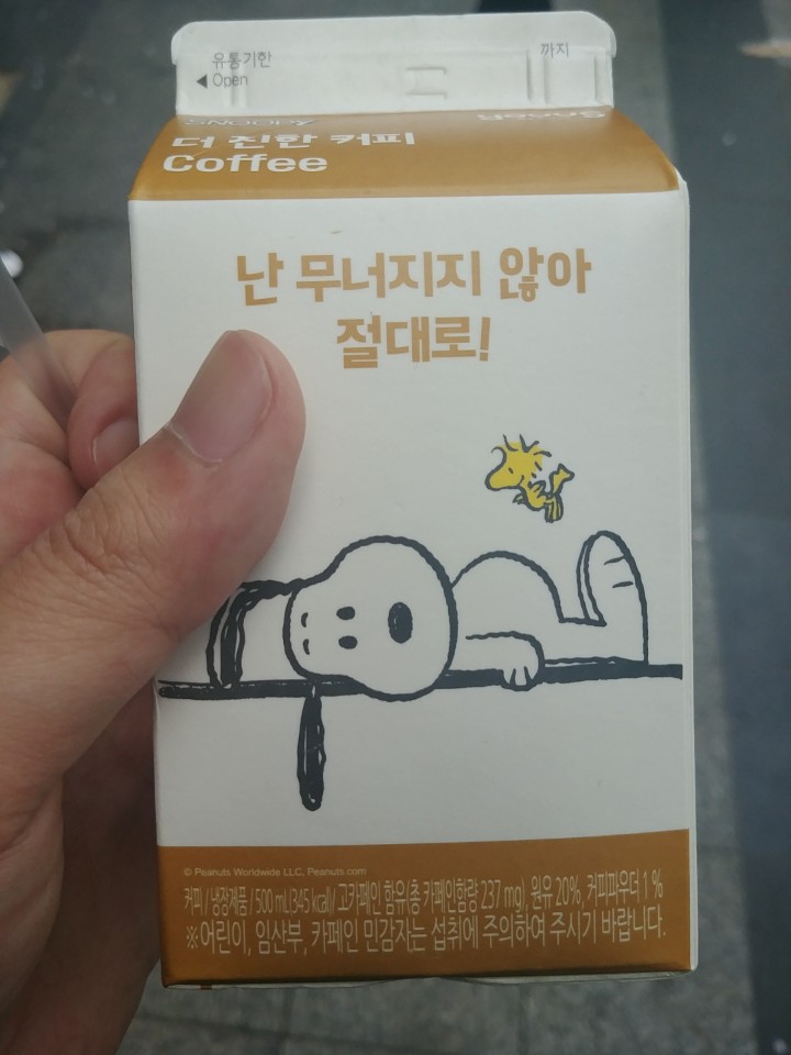  스누피님 제가 몰라뵙습니다... 제발 잠 좀 자게 해주세요.